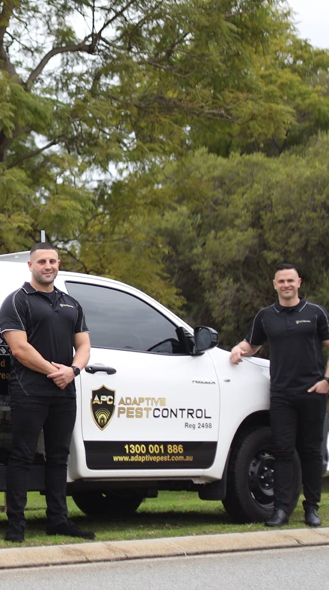 Adaptive Pest Control Perth - Project 2