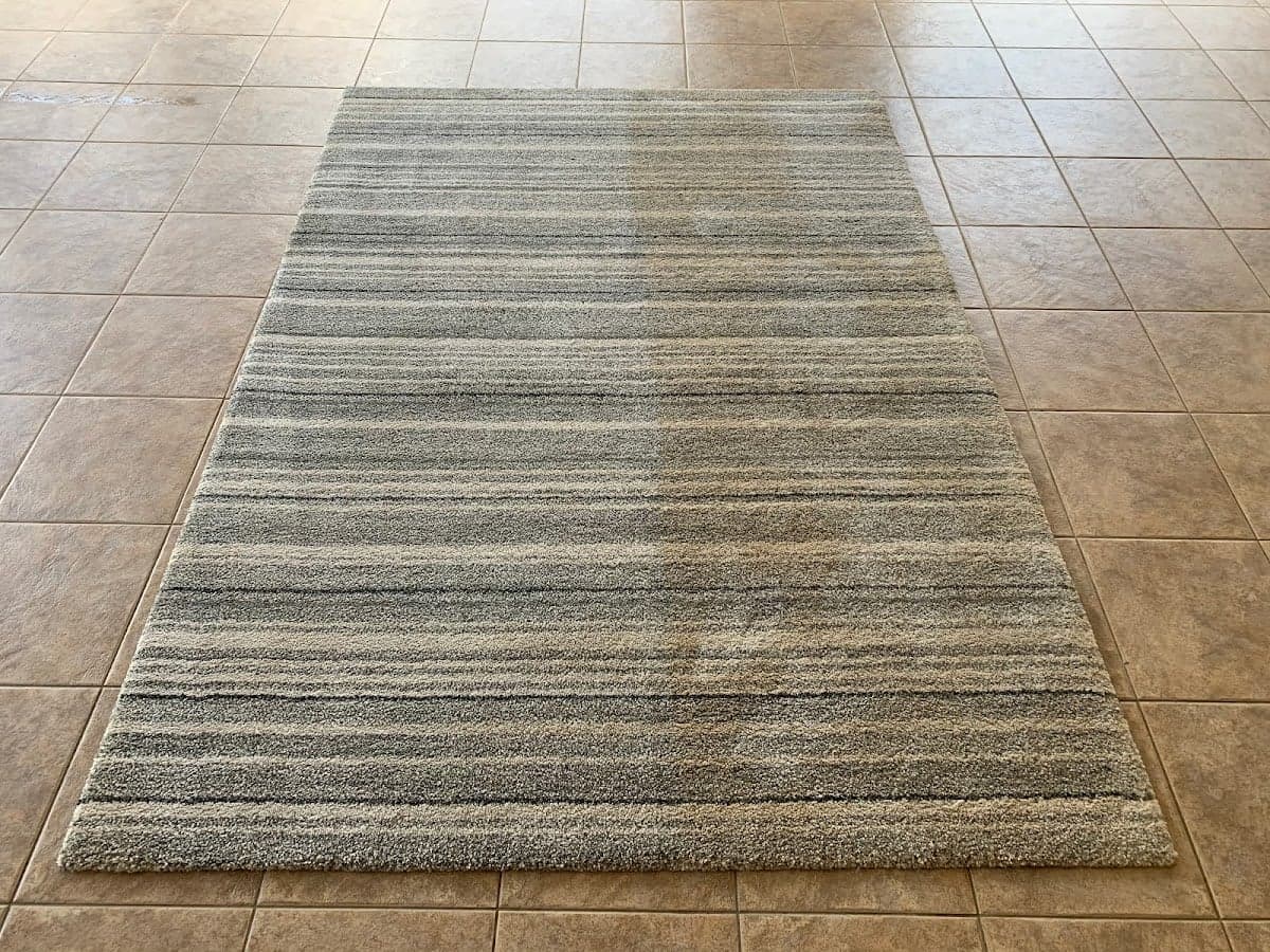 Advanced Floor Care Bendigo - Project 3