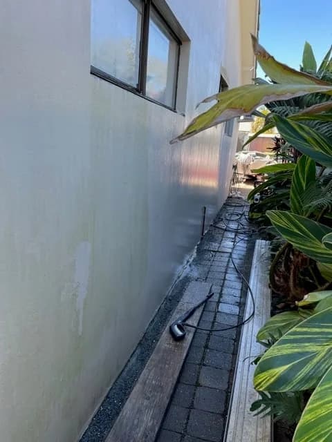 Painting Trends - Project 4