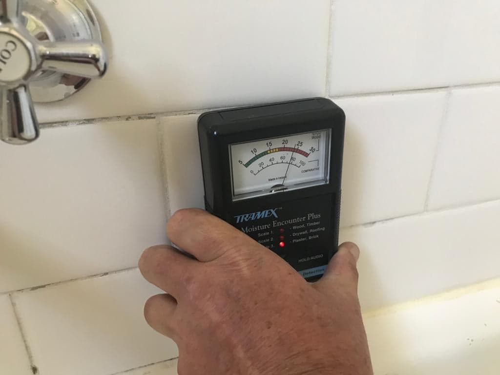 Bear Bottom Inspections