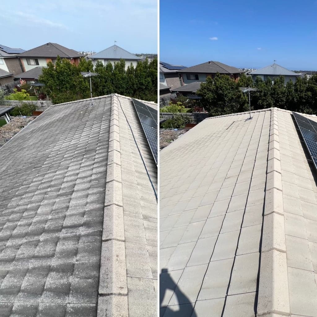 Blastworx Exterior Cleaning - Project 4