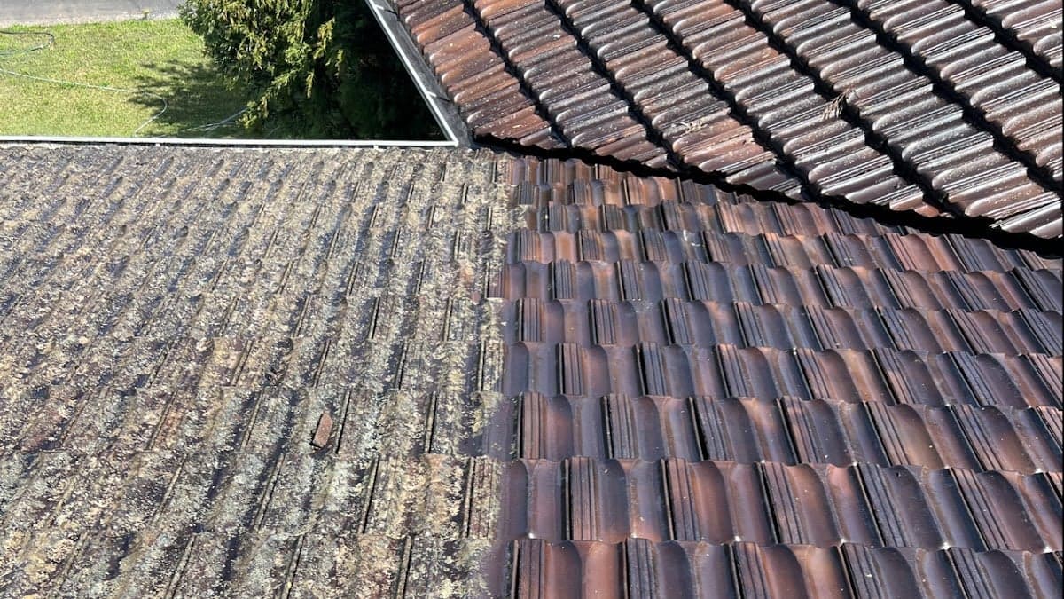 Blastworx Exterior Cleaning