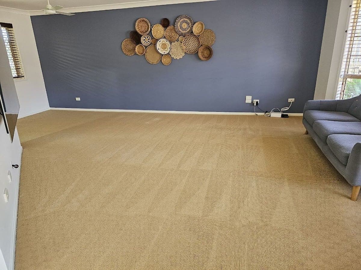 Brisbane Commercial Cleaning and Pest Control cover