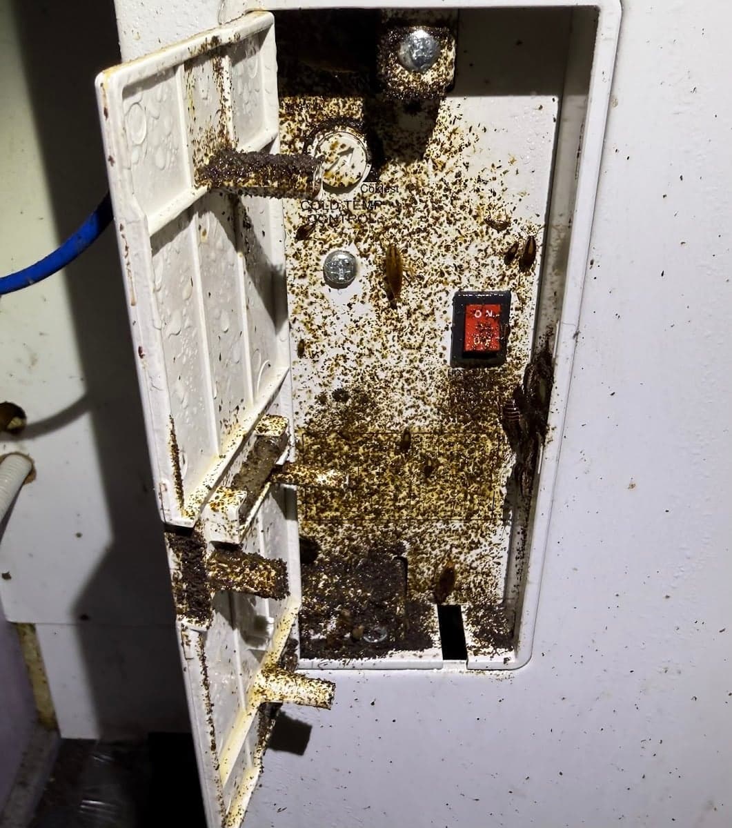 Buzz Off Termites & Pest Management Sydney - Project 5