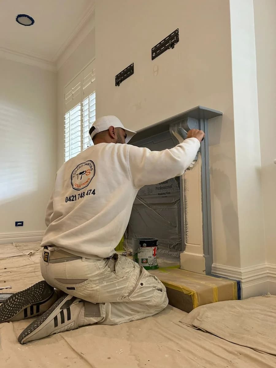 Todaro Painting Solutions - Project 5