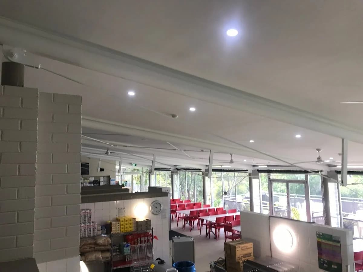 Watsons Painting - Project 4