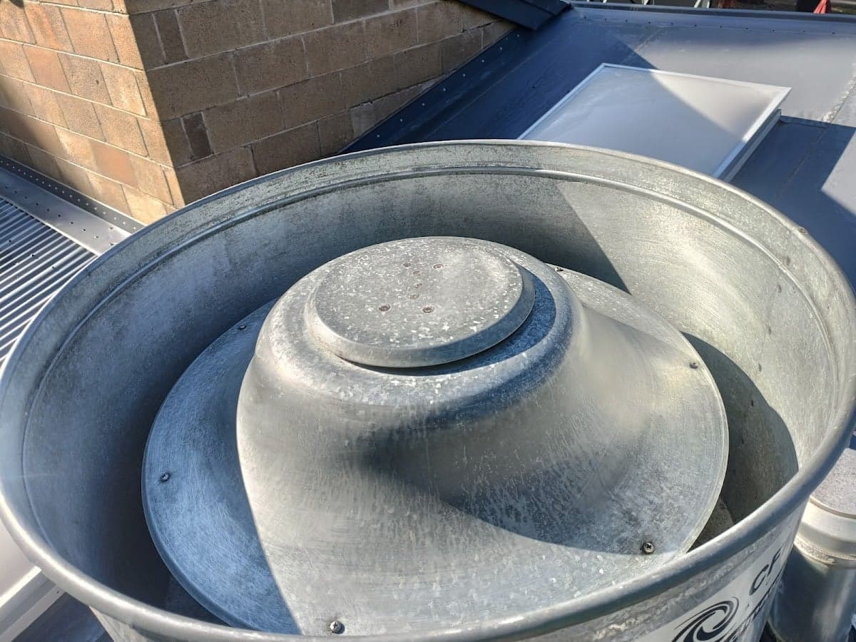 Canopy Cleaning Melbourne - Project 4