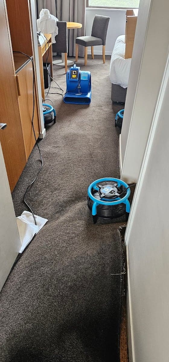 Cleantec Carpet Cleaning