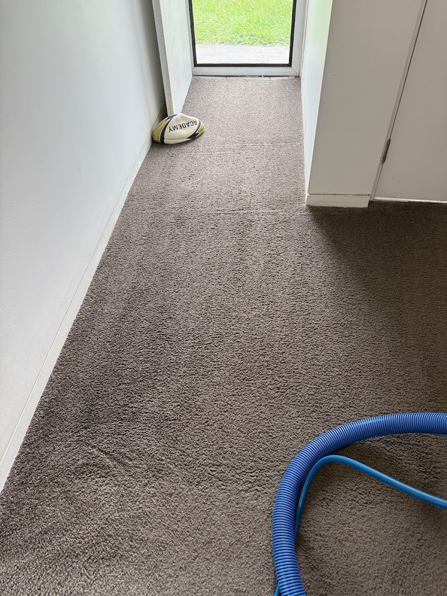 ClickClean & Pest control - Main project