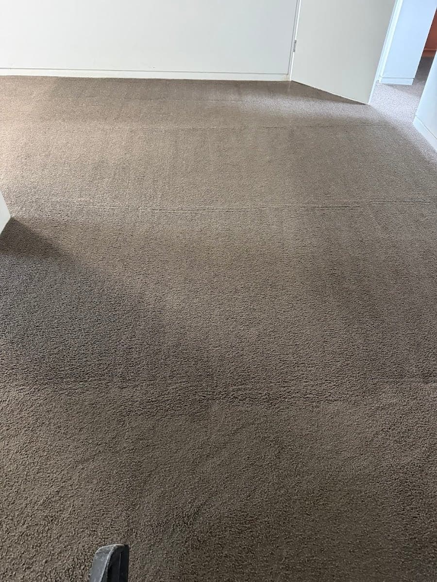 ClickClean & Pest control - Project 5