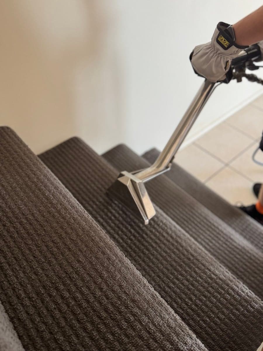CPH Services Gold Coast Carpet Cleaning & Pest Control - Project 5