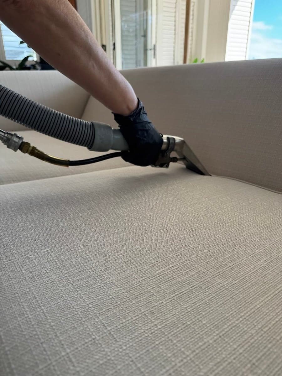 CPH Services Gold Coast Carpet Cleaning & Pest Control - Project 3