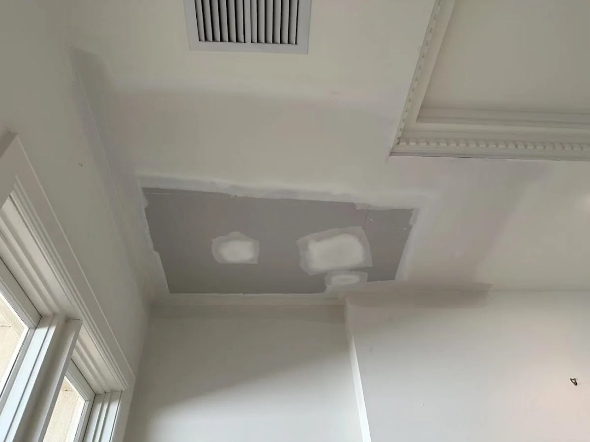 Lolico Painting & Maintenance - Project 3