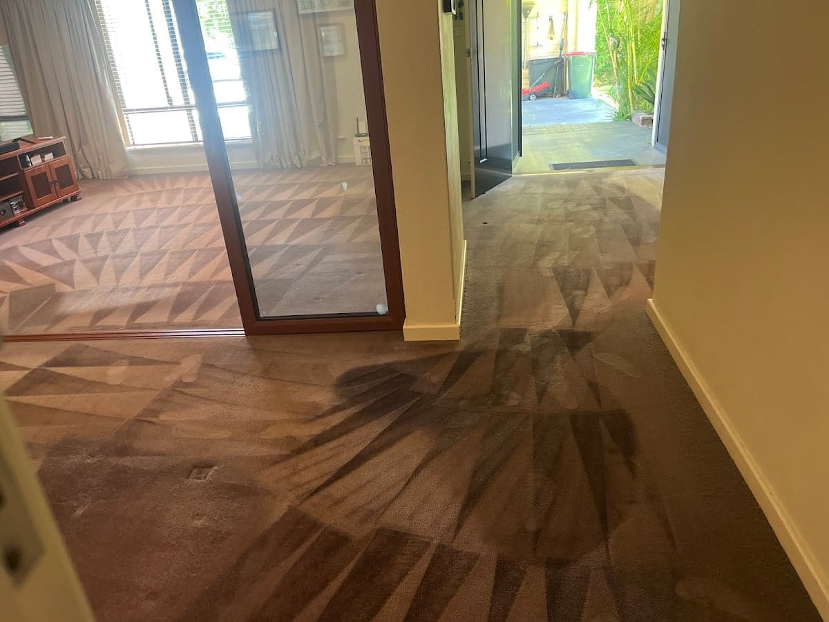 DD Carpet Cleaning Perth