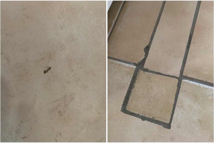 Dedant Building and Pest Inspections Brisbane