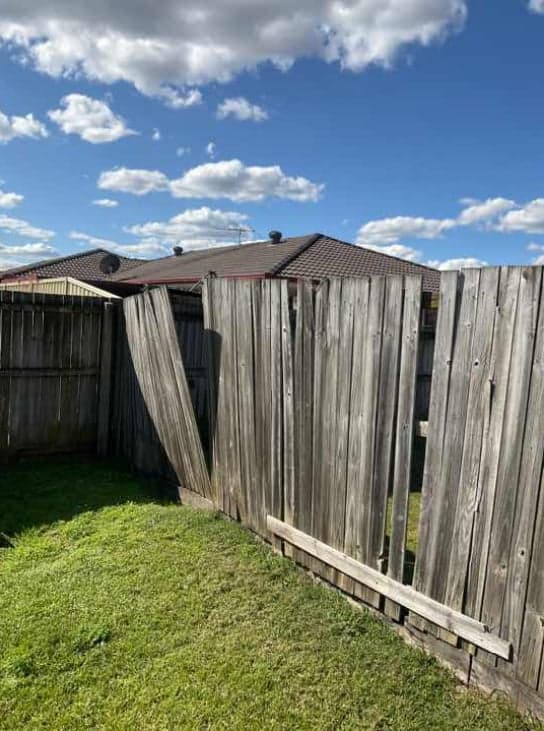 Dedant Building and Pest Inspections Brisbane - Project 4