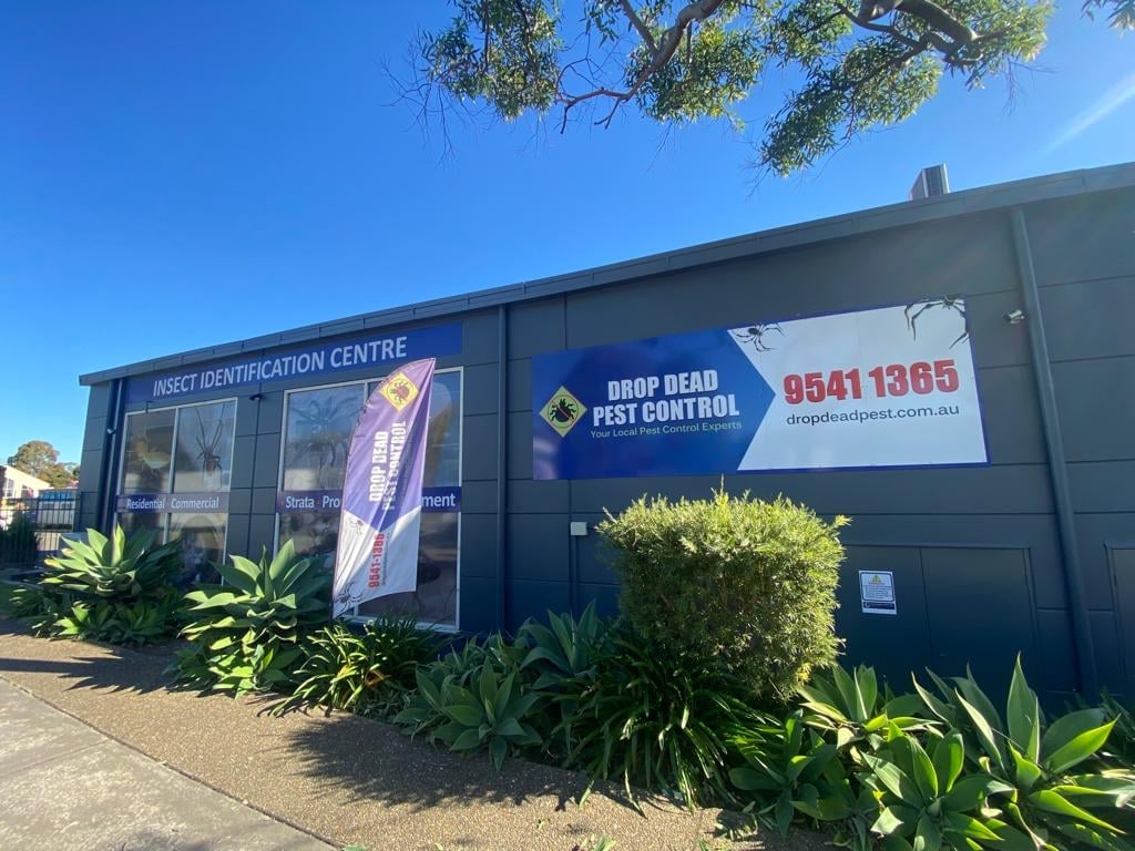 Drop Dead Pest Control - Main project