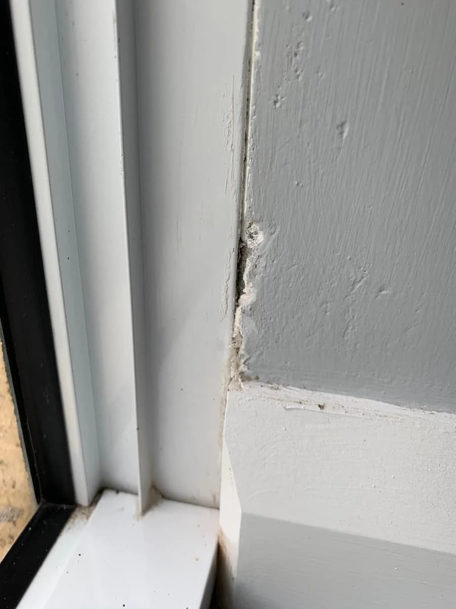 NT Painting and Decorating - Project 1