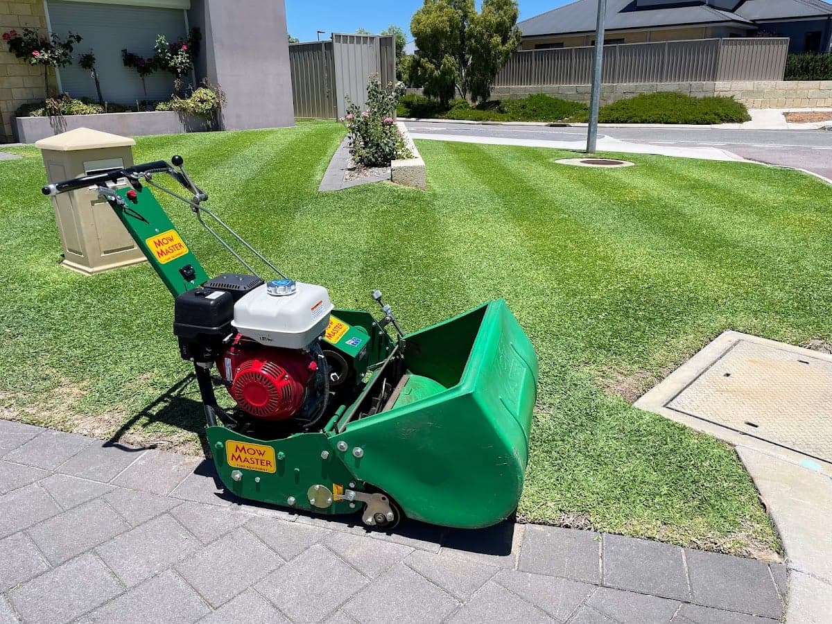 Momentum Mowing cover