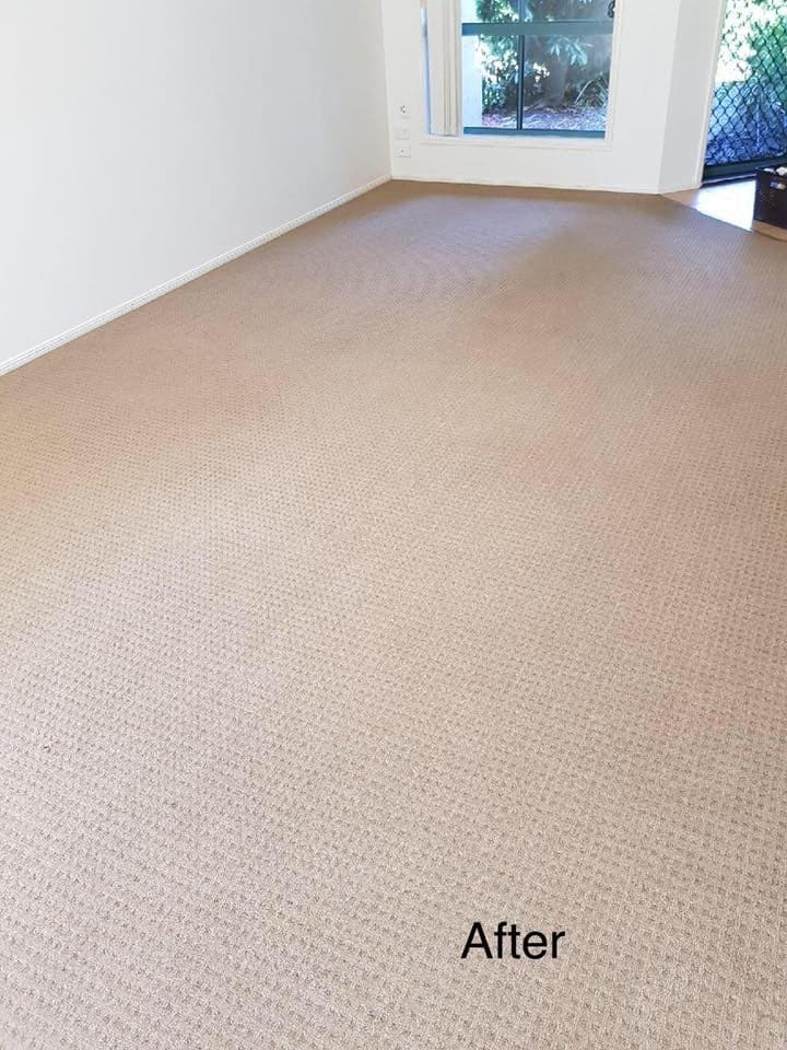 Evolution Group Carpet Cleaning and Pest Control - Project 5
