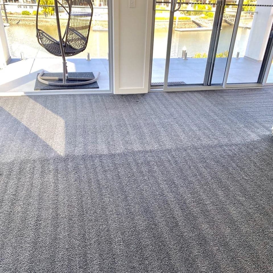 Evolution Group Carpet Cleaning and Pest Control - Project 4