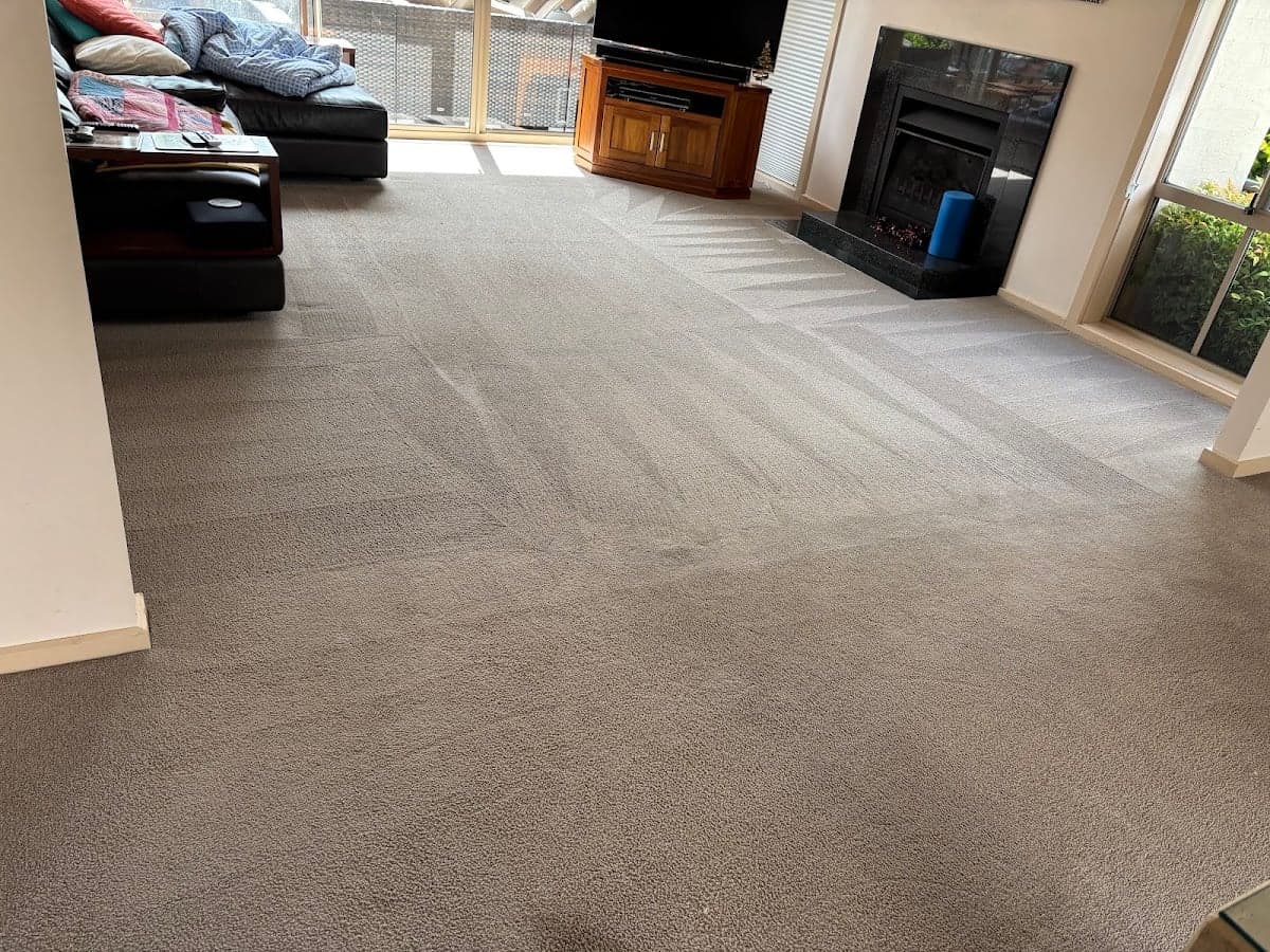 Exceed Carpet Cleaning