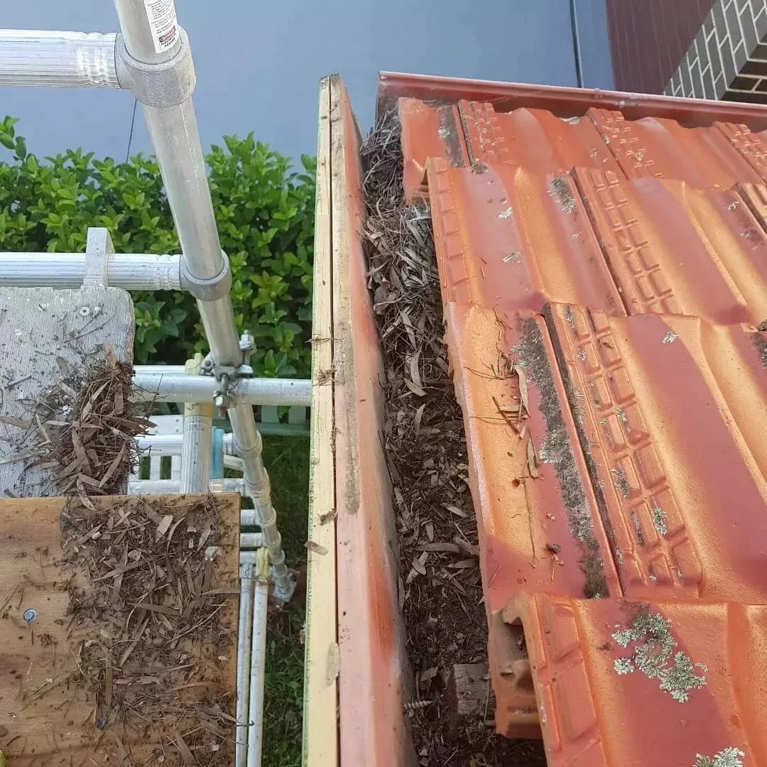 A&J PAINTWORX - Project 2