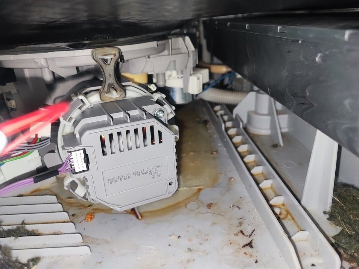 Fair Price Dishwashers - Project 4