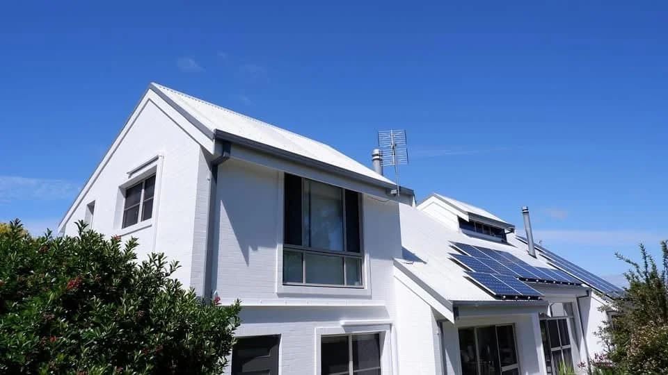 Wallaby Painting - Project 5