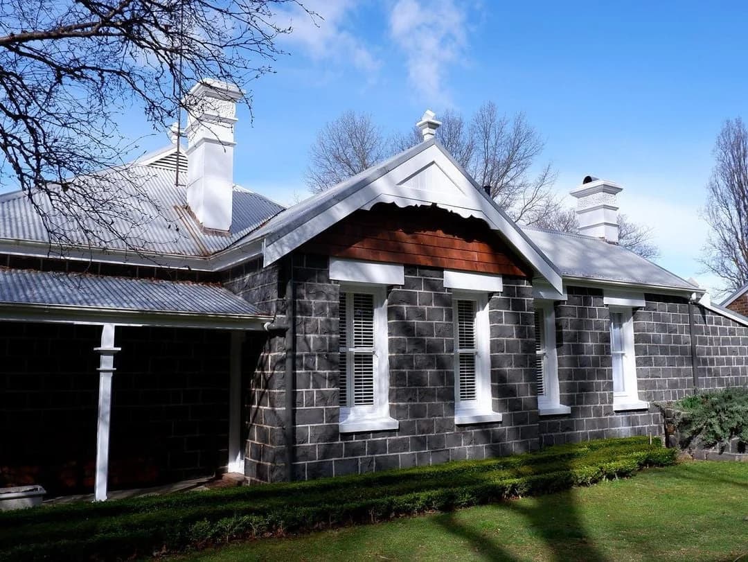 Wallaby Painting - Project 3