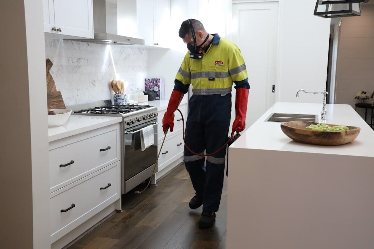 Flick Pest Control Capalaba - Project 4
