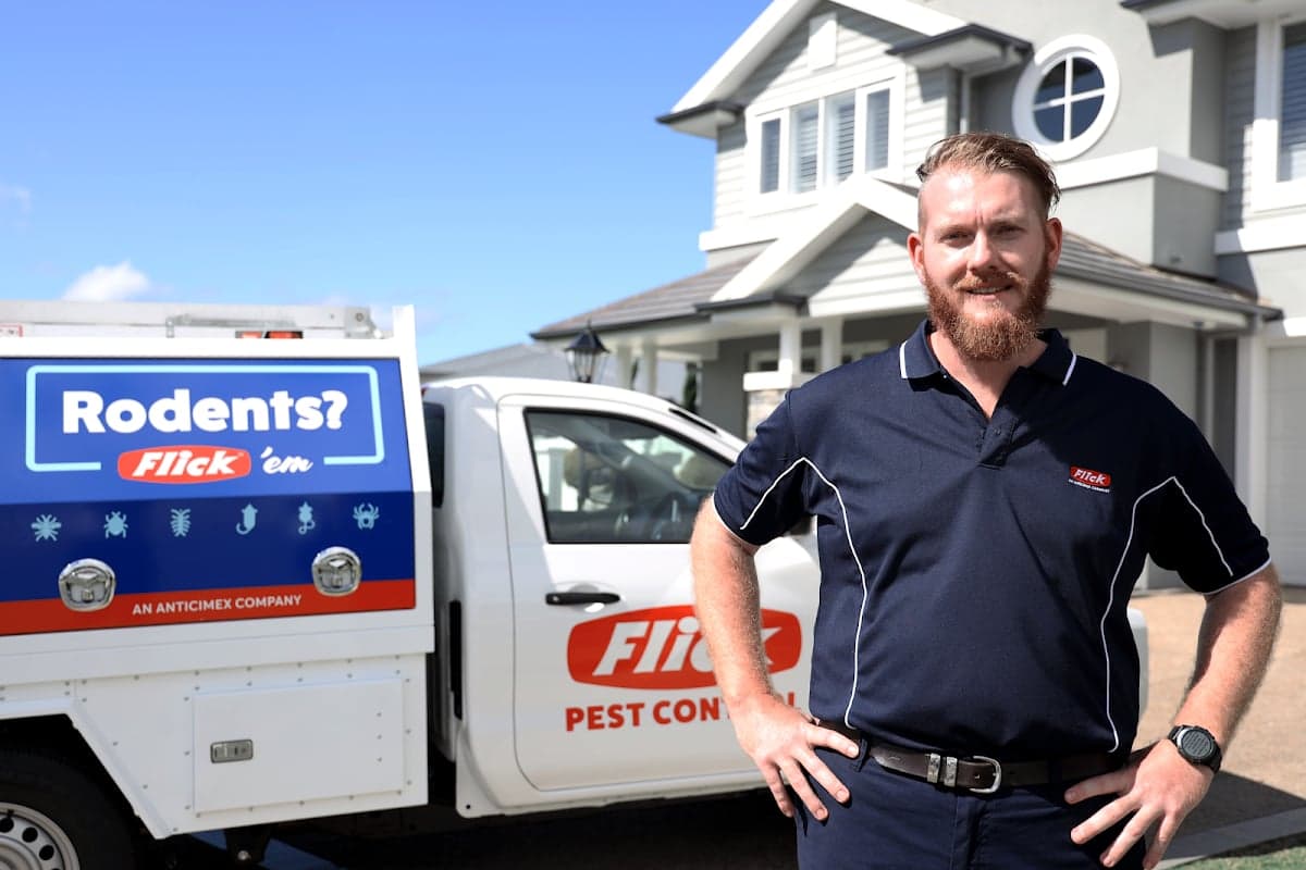 Flick Pest Control Capalaba - Project 3