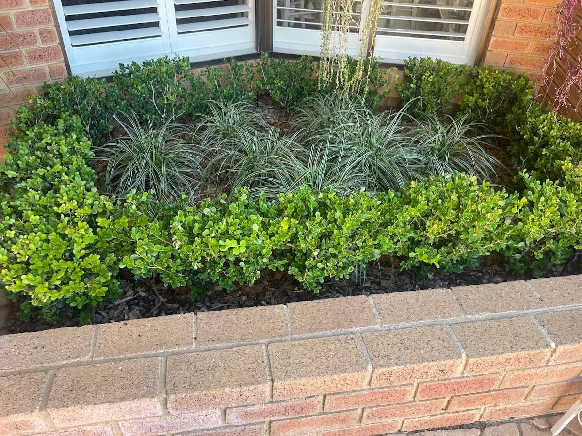 Gardener Co - Project 3