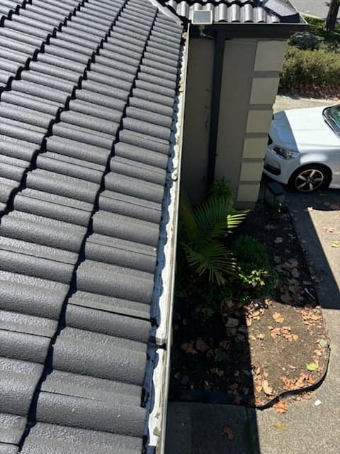 Gav's Gutter Cleaning - Project 5