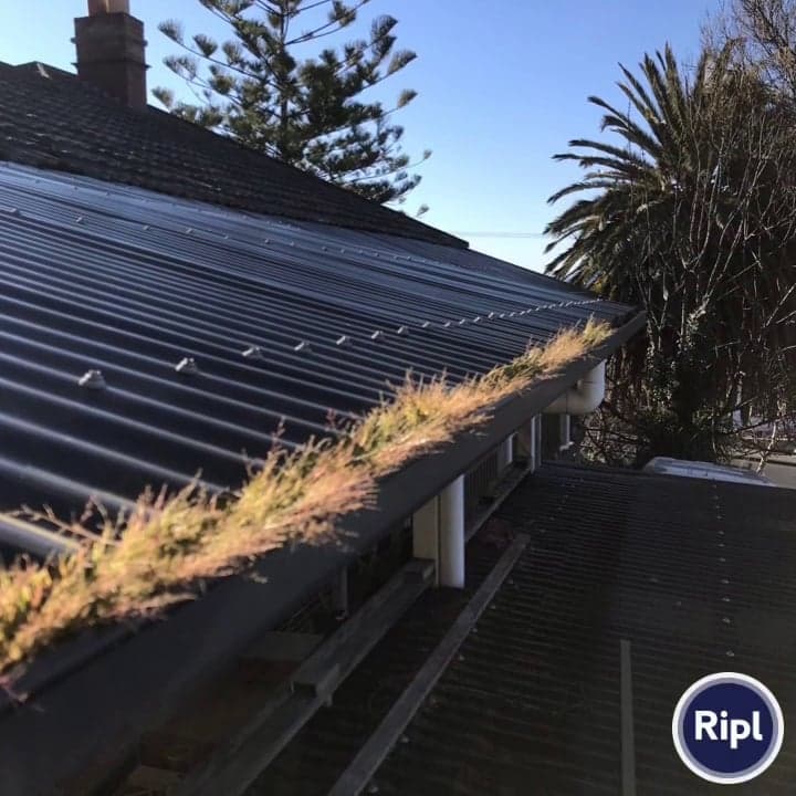 Hobart Gutter Guard Co - Project 2