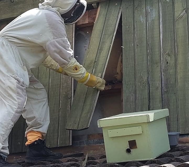 House Care Pest Control - Project 5