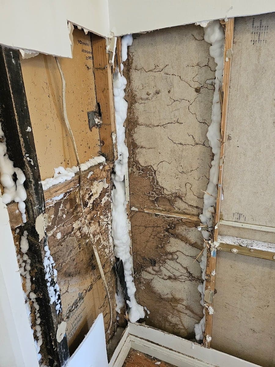 Hunter Pest Solutions Pty Ltd