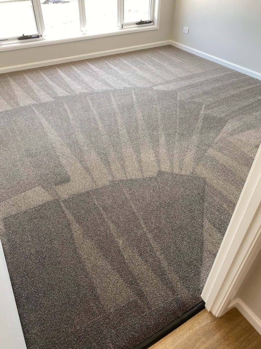 iCarpet clean and pest control