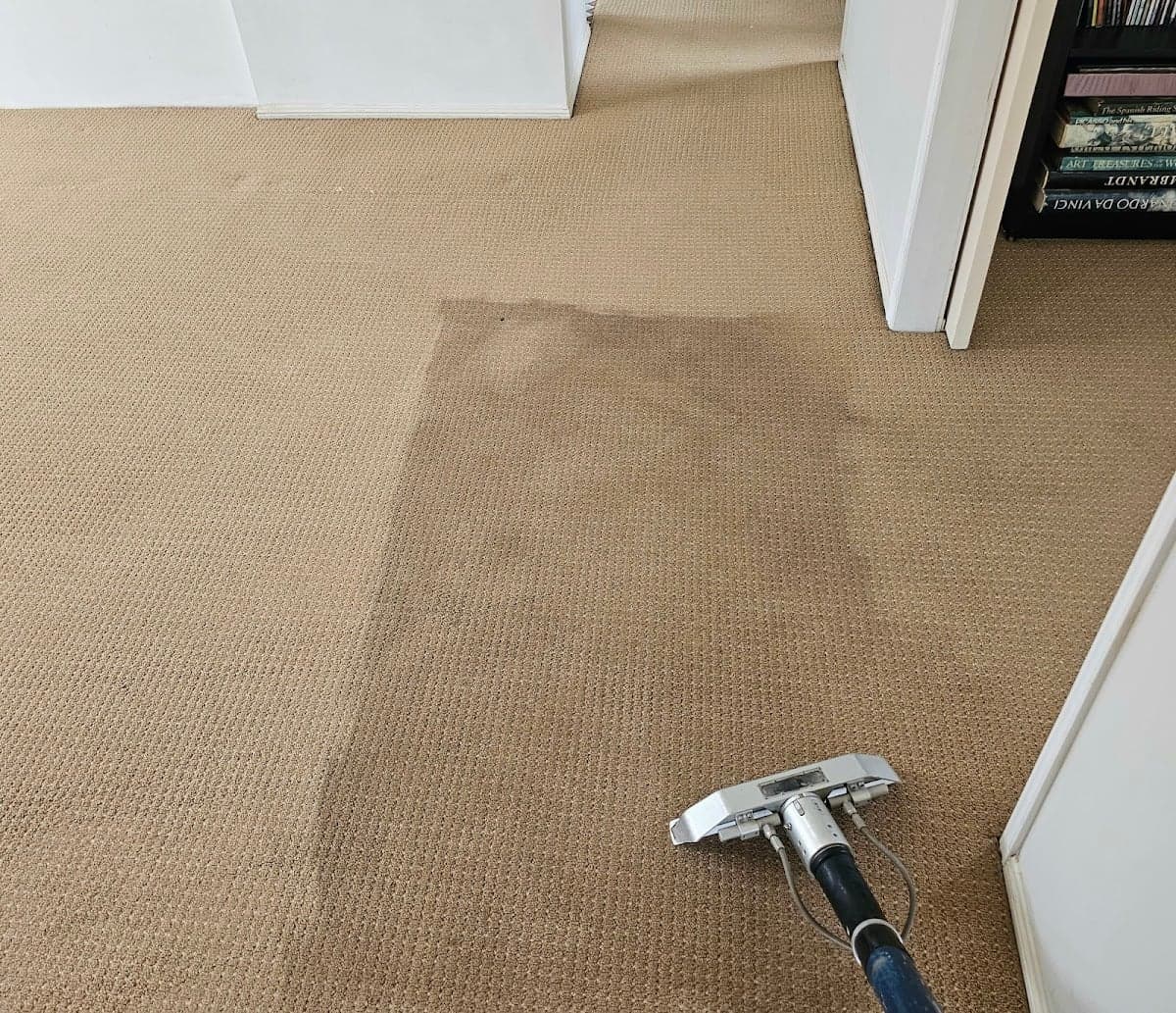 Just Perfect Home Services Carpet Cleaning - Project 3