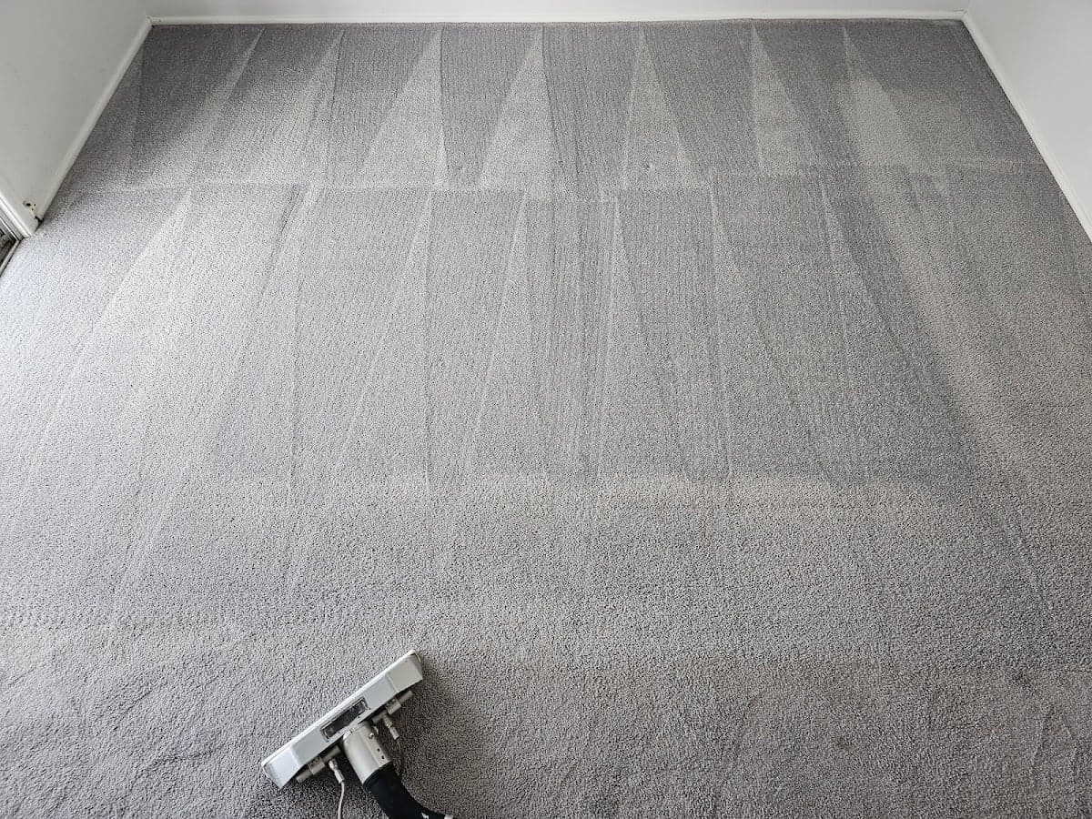 Just Perfect Home Services Carpet Cleaning - Project 5