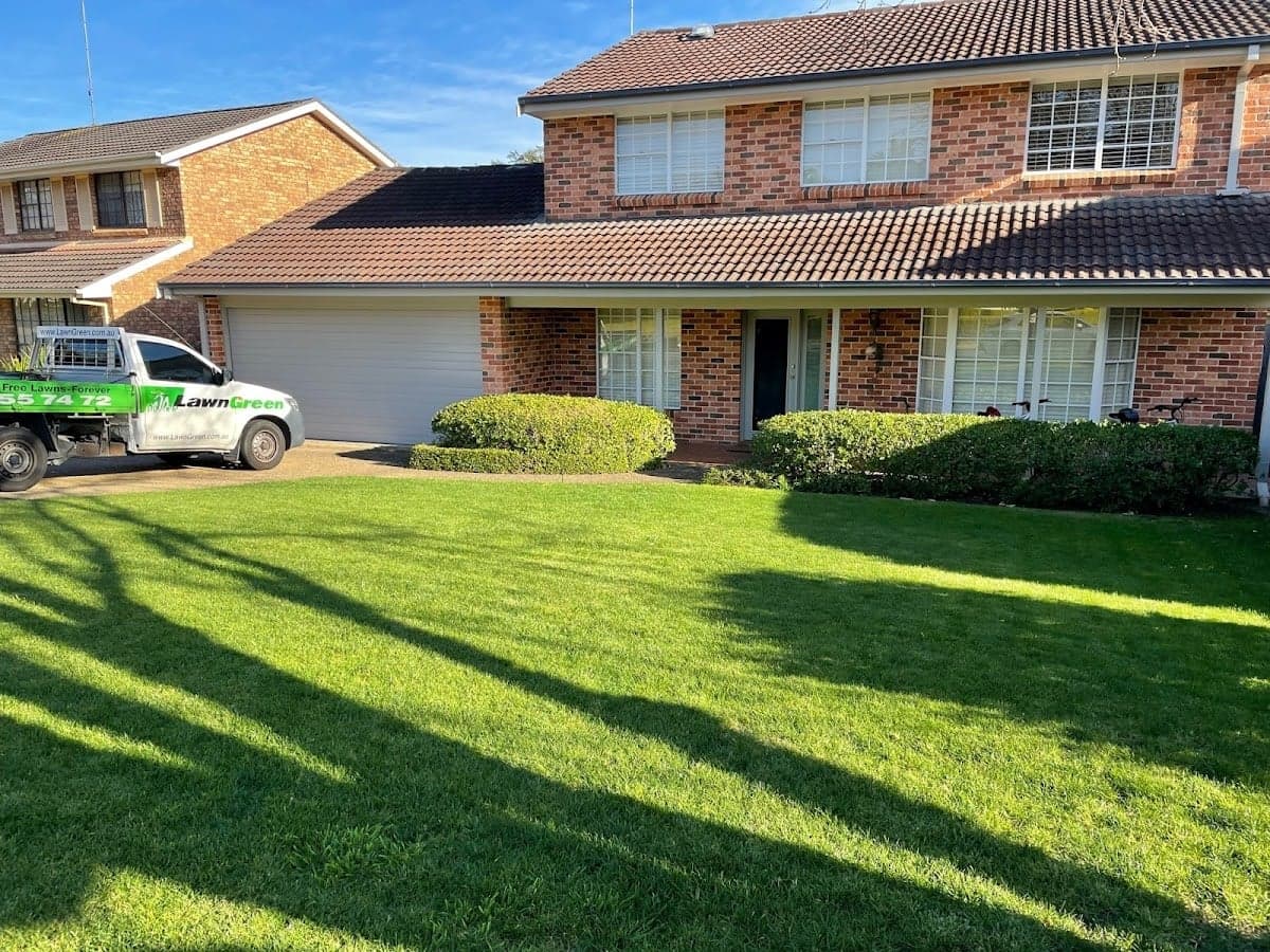 Lawn Green - The Lawn Expert for Lawn Repairs cover