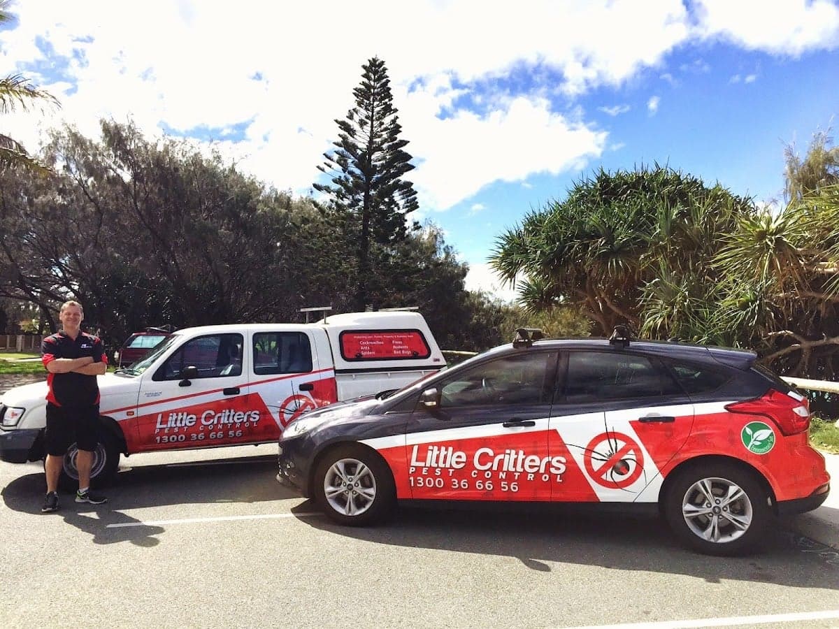 Little Critters Pest Control & Termite Management Specialists