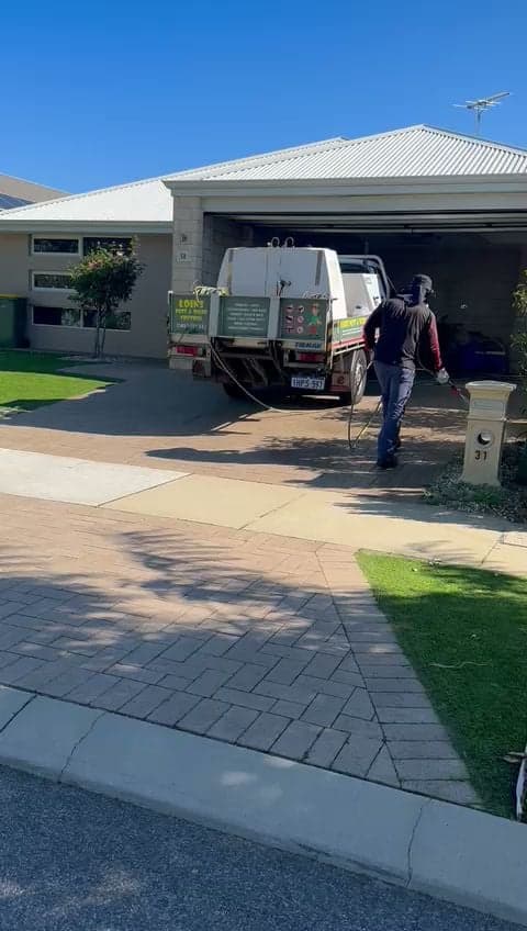 Loins pest & weed control - Perth Metro - Project 5