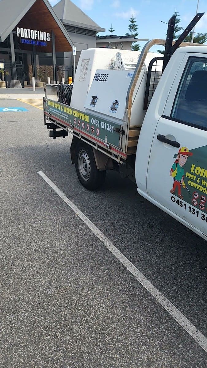 Loins pest & weed control - Perth Metro - Project 2