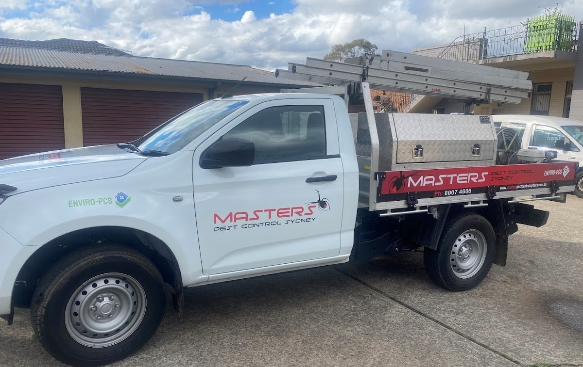Masters Pest Control Sydney - Main project