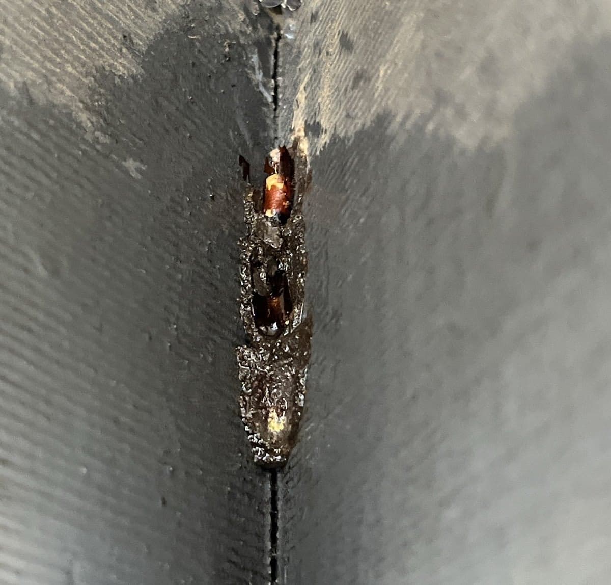 Masters Pest Control Sydney cover