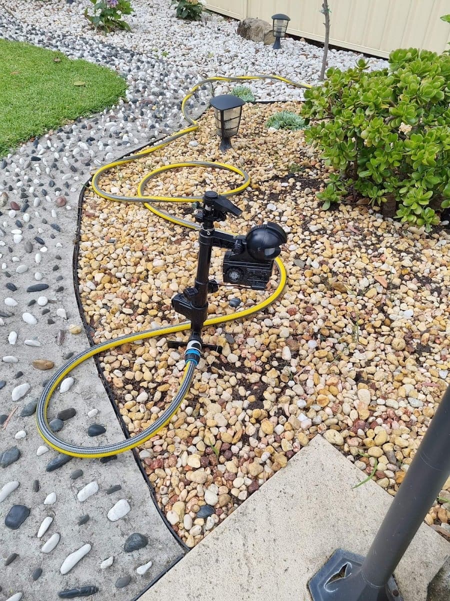 Micropest Pest Control Sydney