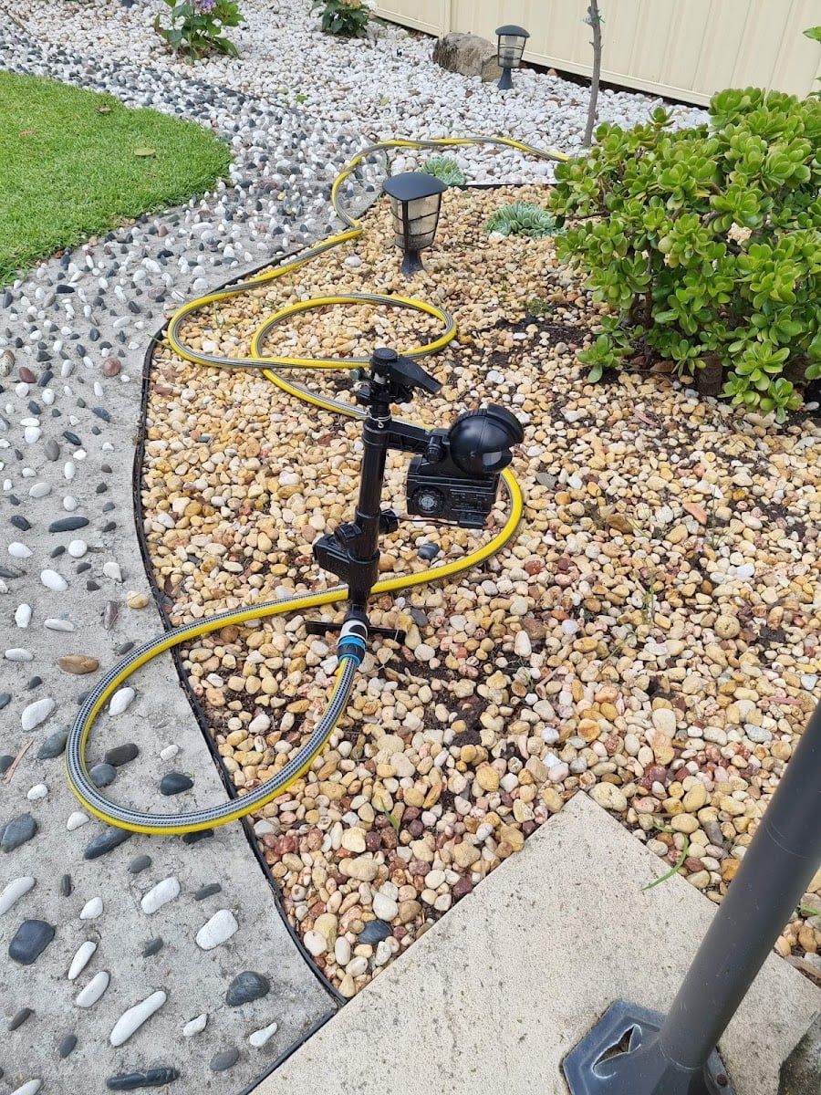 Micropest Pest Control Sydney - Main project