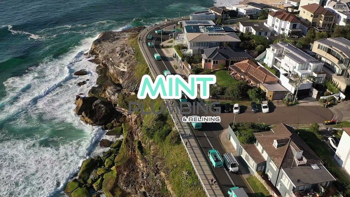 Mint Plumbing & Relining - Project 2