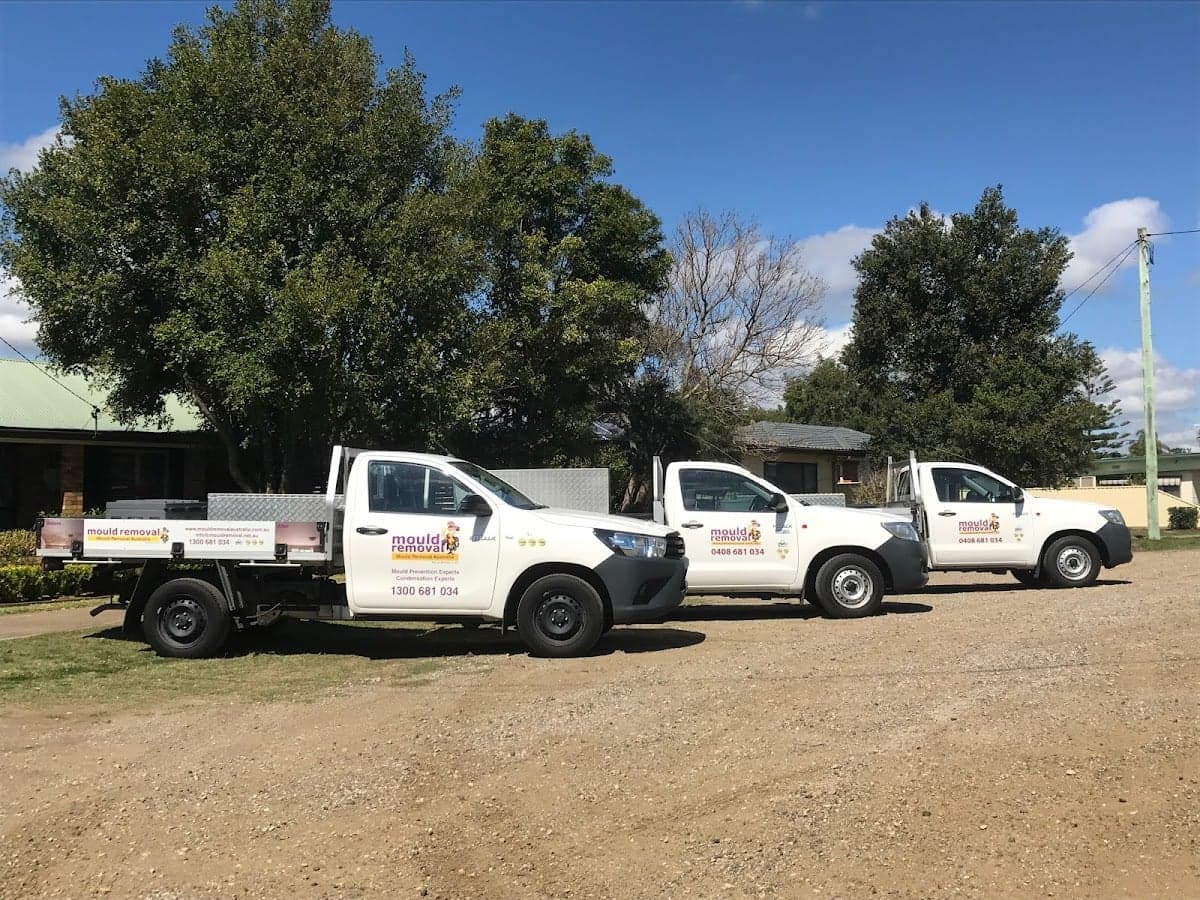 Mould Removal Australia - Project 2